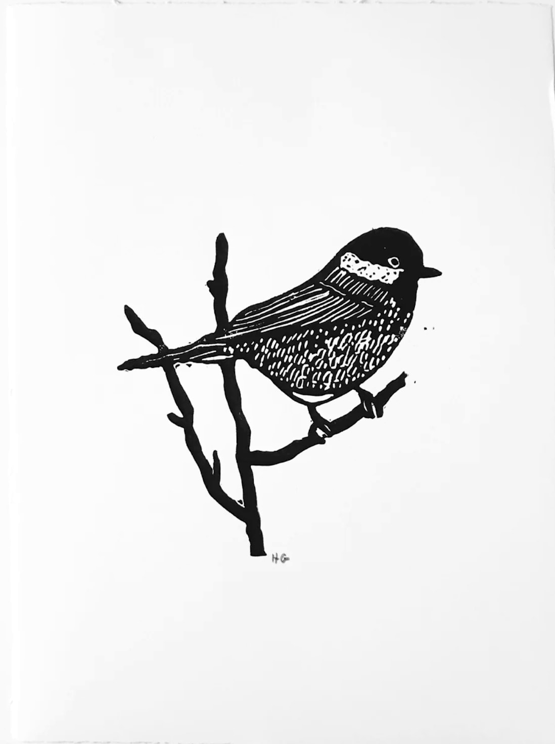 Hugo Guinness classic prints (unframed), Sparrow
