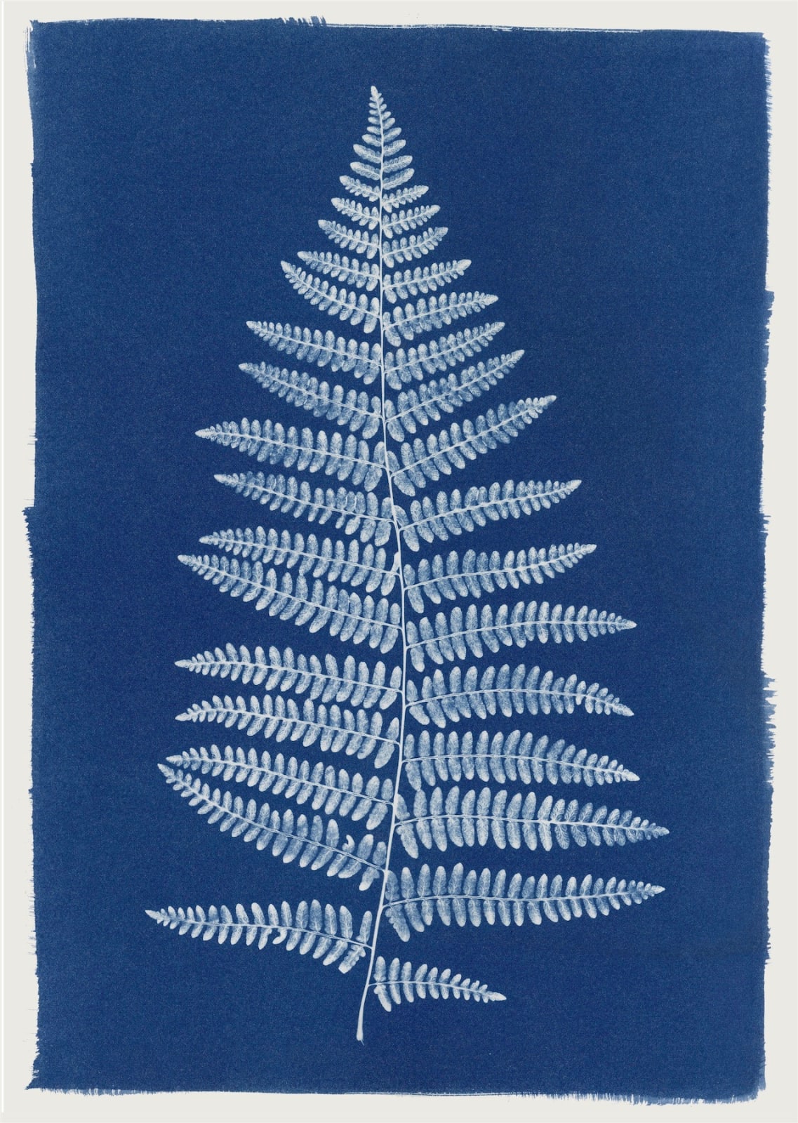 Henrietta Molinaro, Wood Fern - unframed, 2025