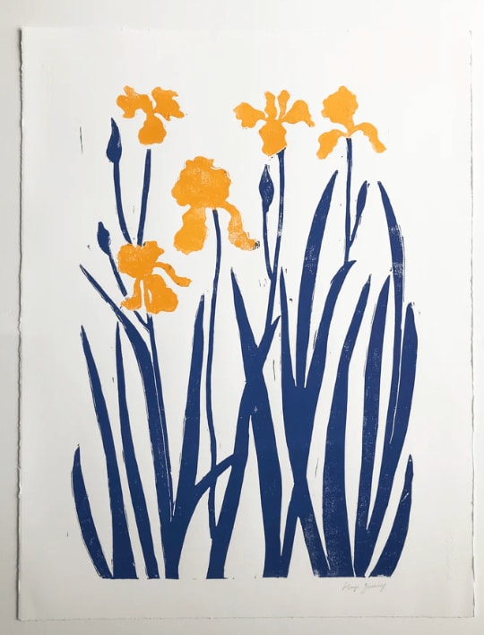 Hugo Guinness classic prints (unframed), Indigo & Yellow Iris, 2022