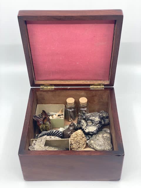 Victorian mahogany fossil box