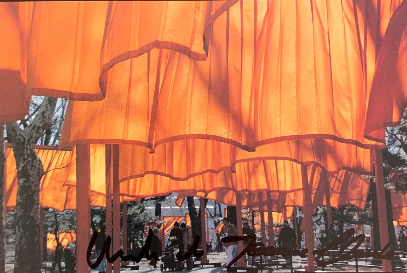 Christo & Jeanne Claude, The Gates, Central Park , 2005