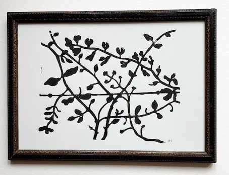 Hugo Guinness floral prints (framed), Vine on Wire, 2024