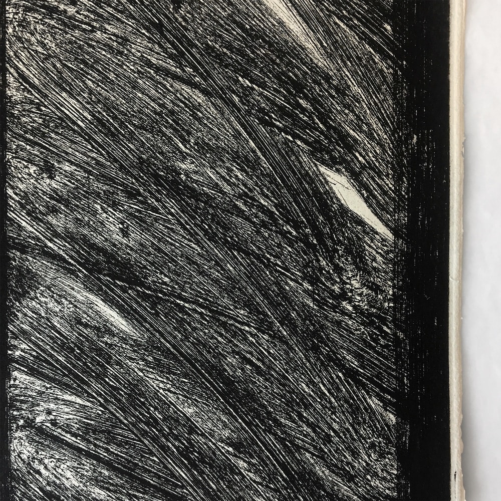 Howard Hodgkin, Thinking Aloud in the Museum of Modern Art, 1979