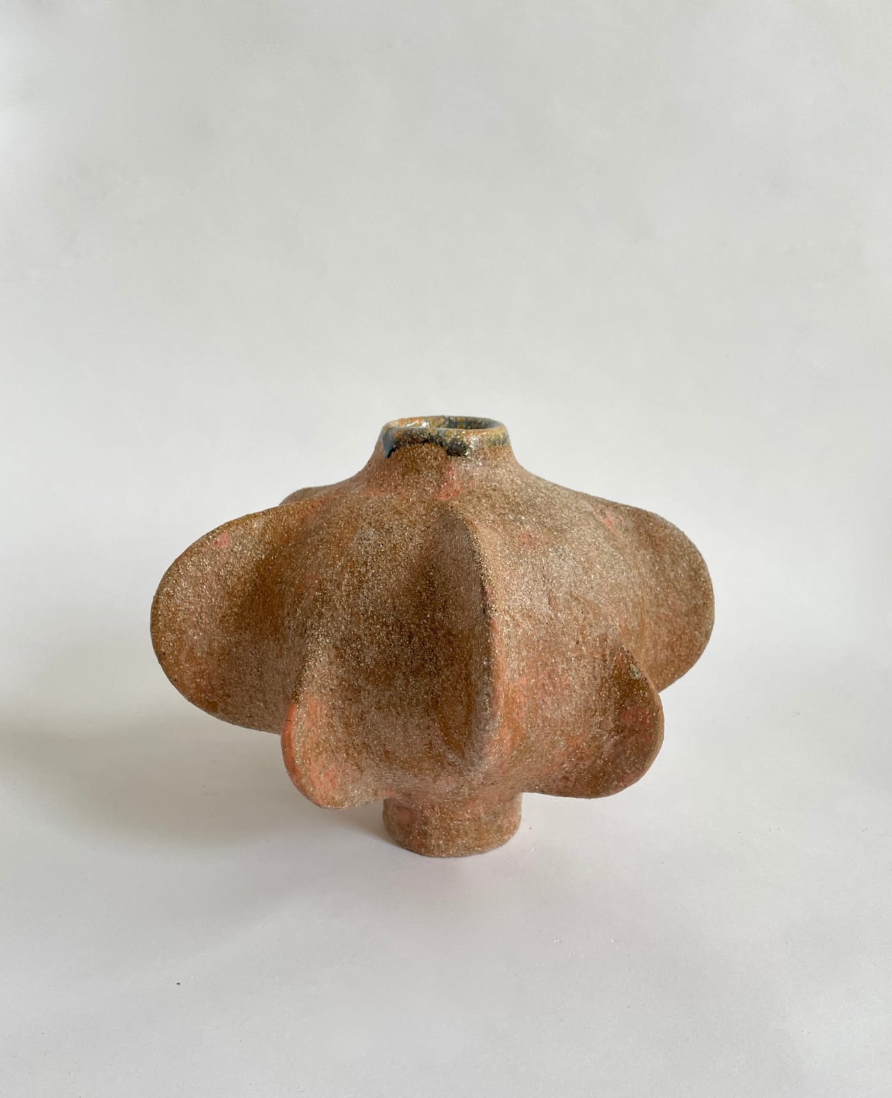 Jullie Nelson, Russet Budding Petal Gourd I, 2022