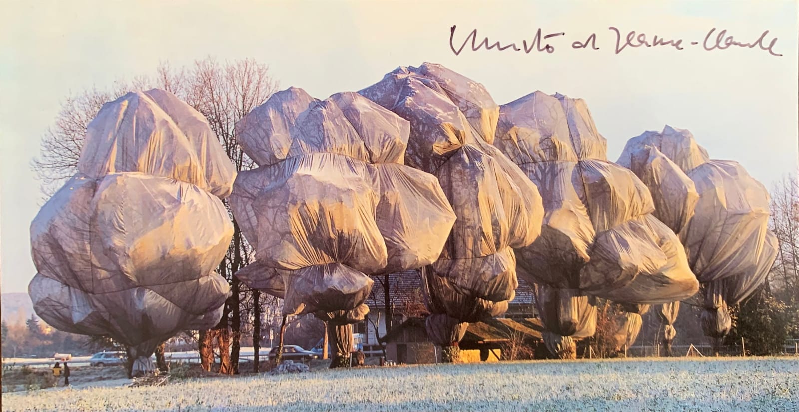 Christo & Jeanne Claude, Wrapped Trees - Foundation Beyeler, Berower Park, Riehen, Switzerland, 1997-98