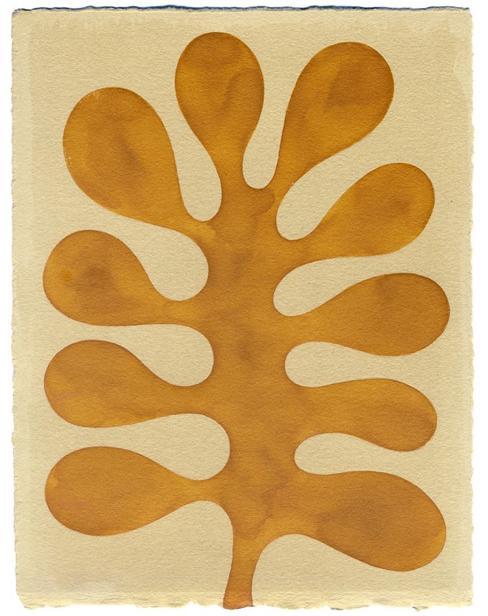 Henrietta Molinaro paintings, Leaf Study, 2024