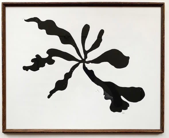 Hugo Guinness floral prints (framed), Staghorn II, 2023