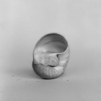 Emmanuel Berry, The Shell Collection of the Belgian Royal Family