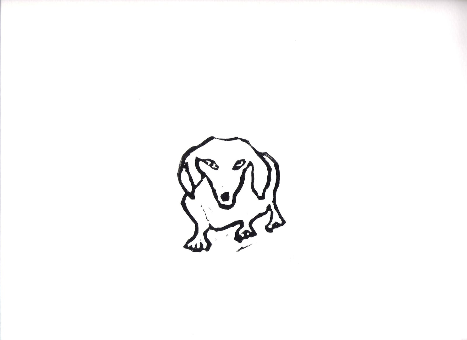 Hugo Guinness classic prints (unframed), Dachshund Face On