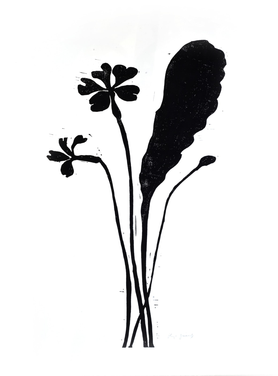 Hugo Guinness classic prints (unframed), Primrose