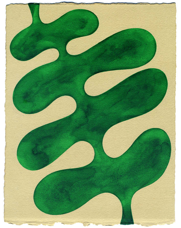 Henrietta Molinaro paintings, Leaf Study, 2024