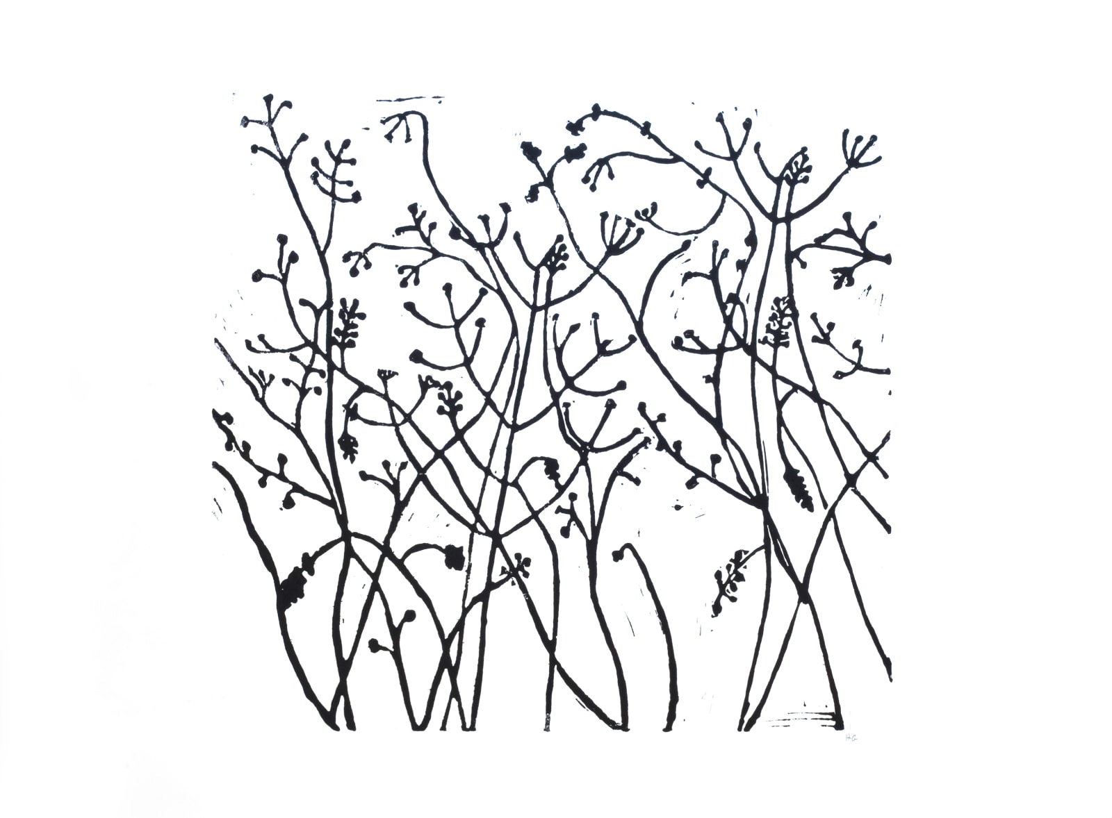 Hugo Guinness classic prints (unframed), Winter Berries