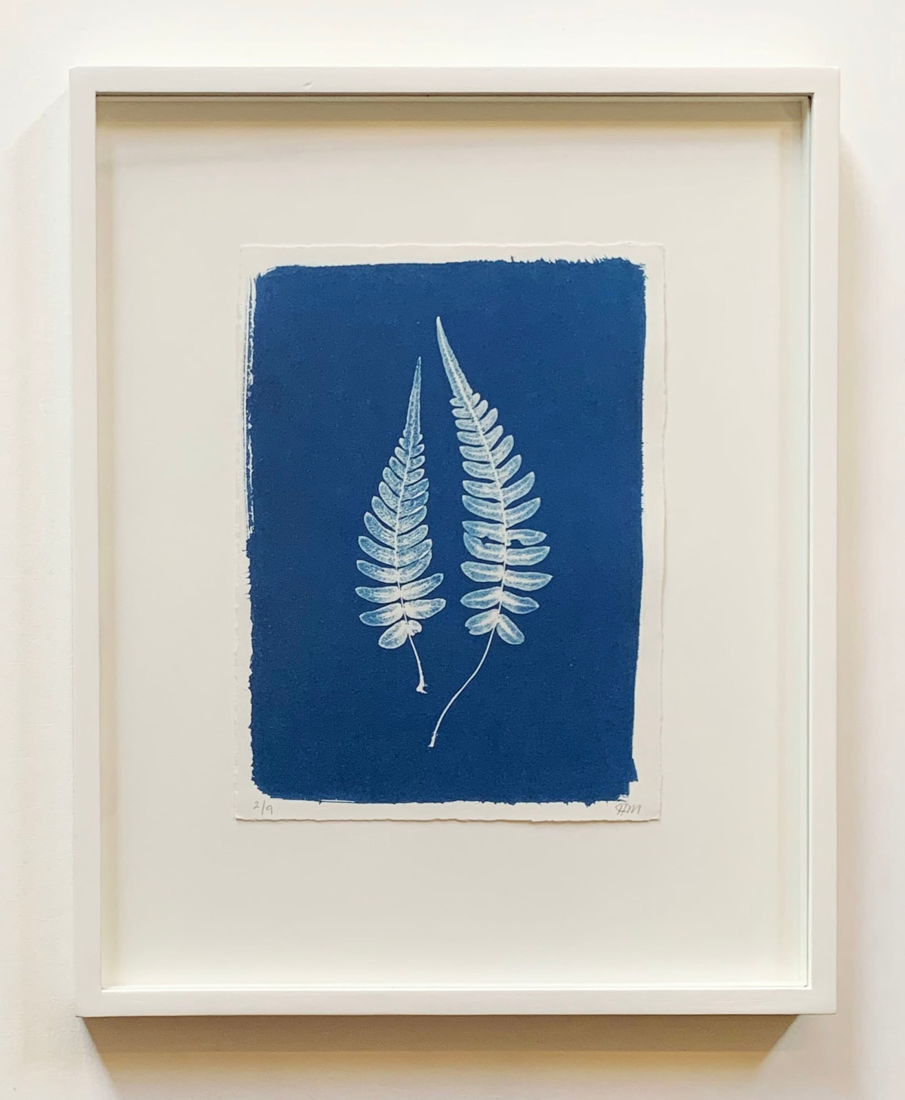 Henrietta Molinaro, Small Two Ferns - framed , 2025