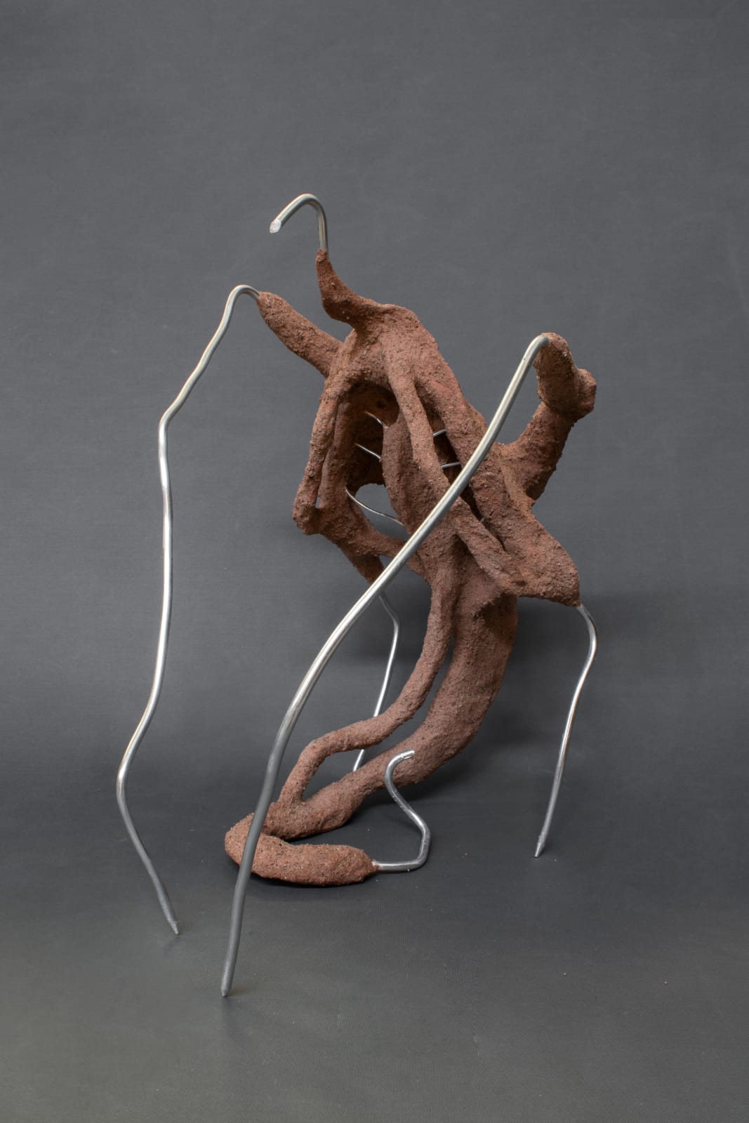 Camilla Alberti, Blended Matter, Red Body 1, 2023