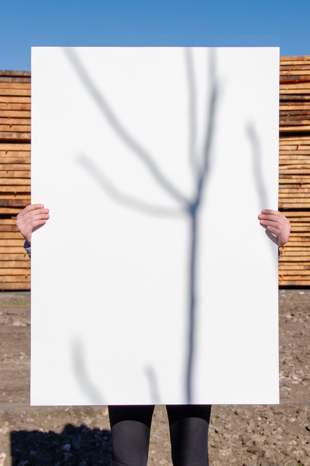 Igor Eskinja, Future manifestations 3, 2024