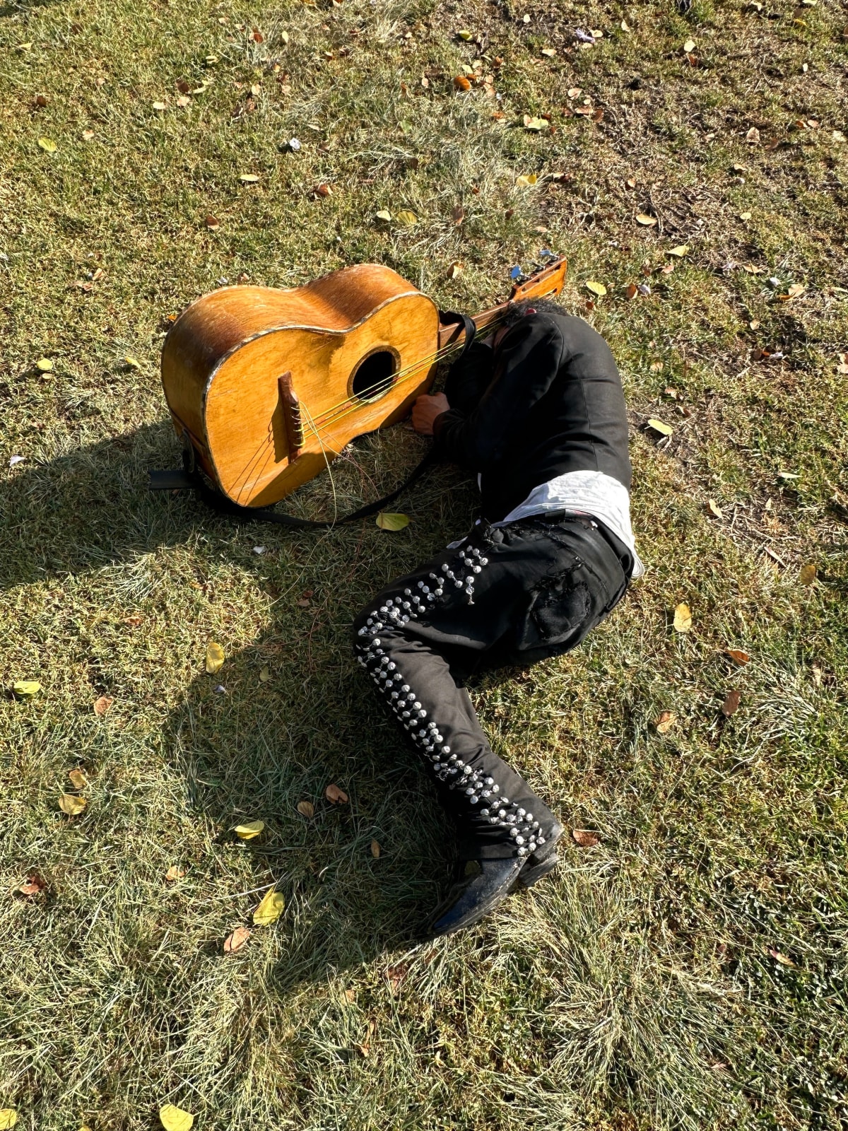 Luis Molina-Pantin, Mariachi durmiendo, 2024