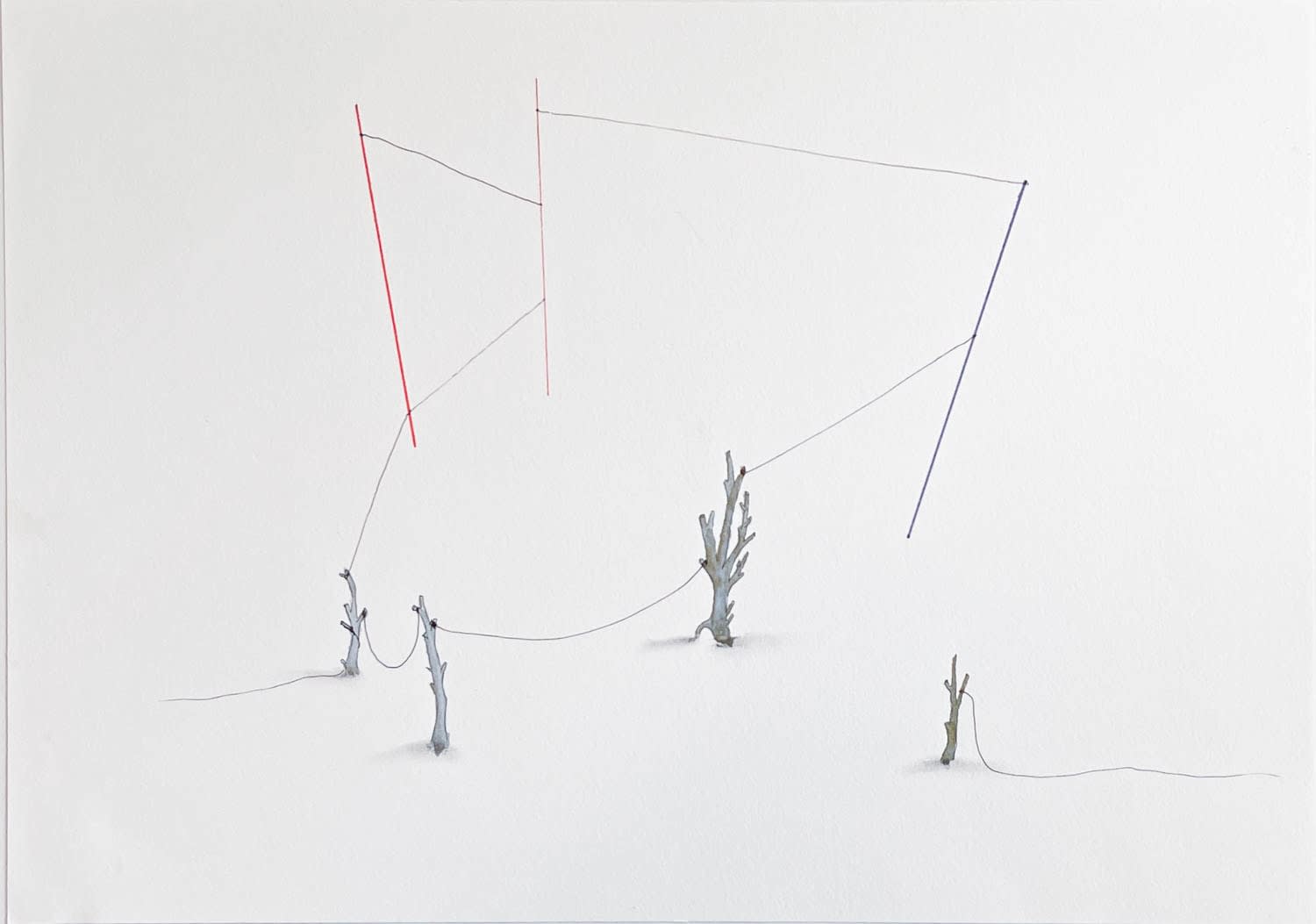 Federico Luger, Ecosystems 2, 2016