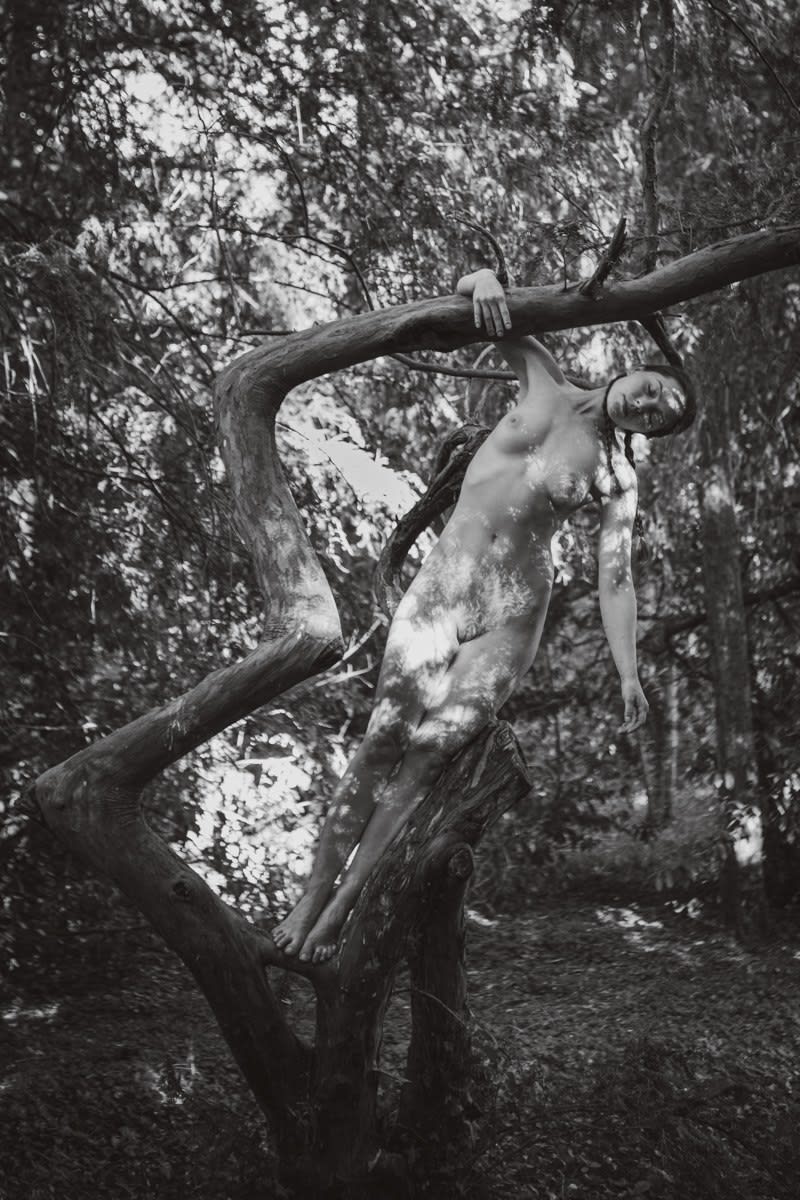 Sofia Fernández Stenström, Alina, 2019