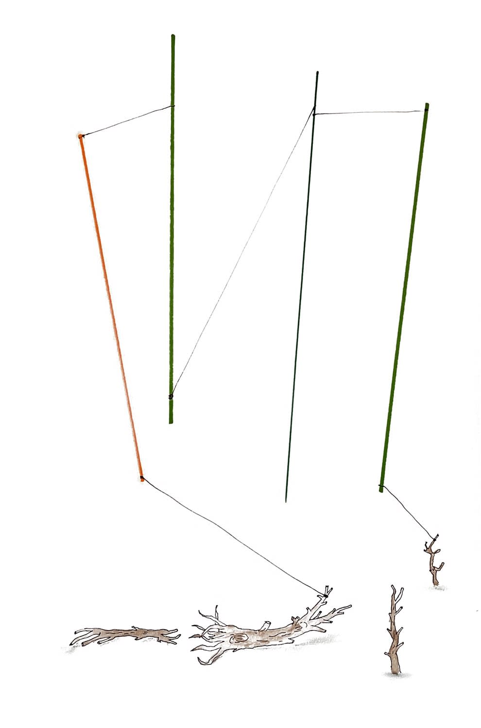 Federico Luger, Line concepts and Ecosystems, 2016