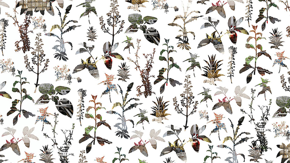 Igor Eskinja, Wallpaper 1, 2024