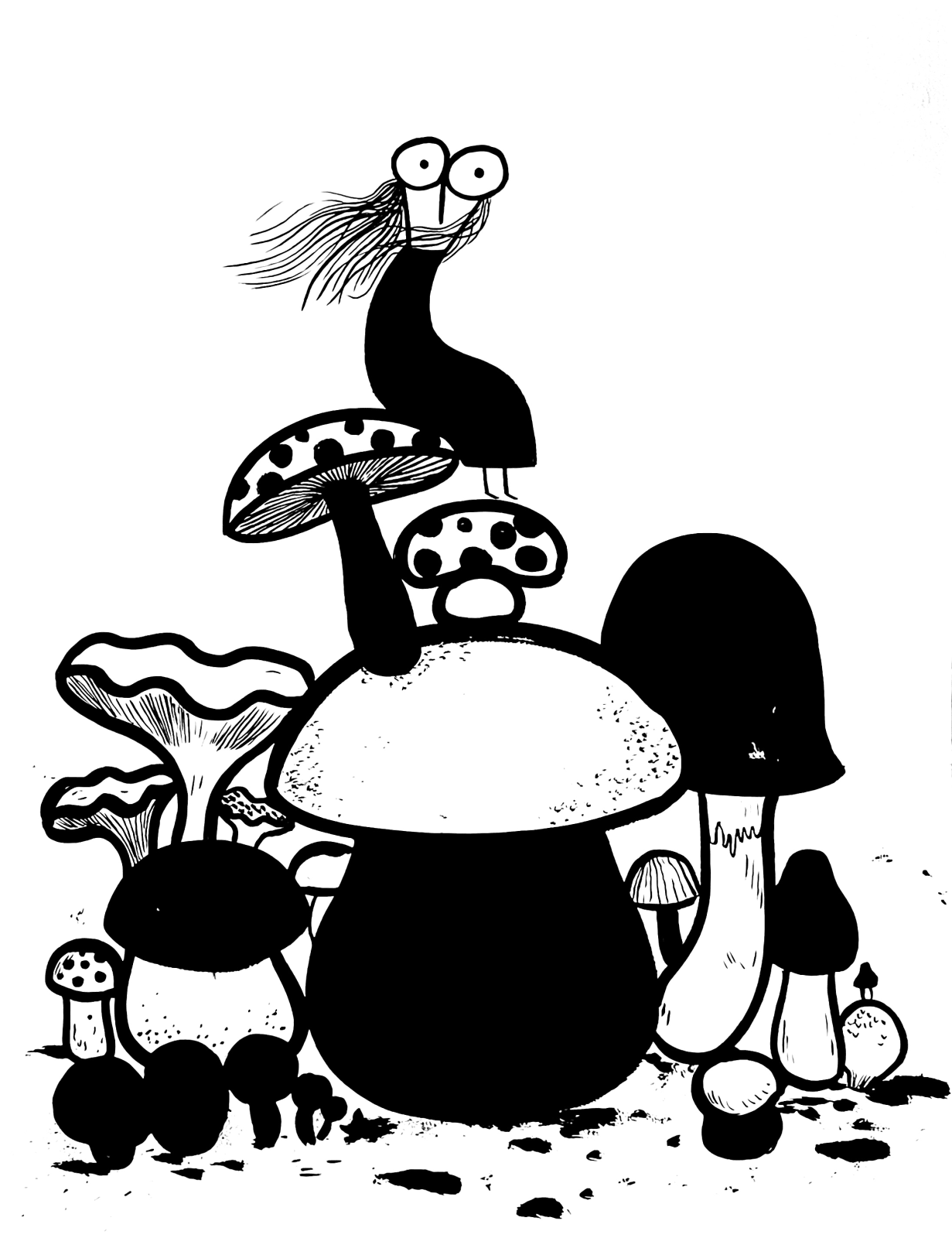 Fausto Gilberti, La funga, 2025
