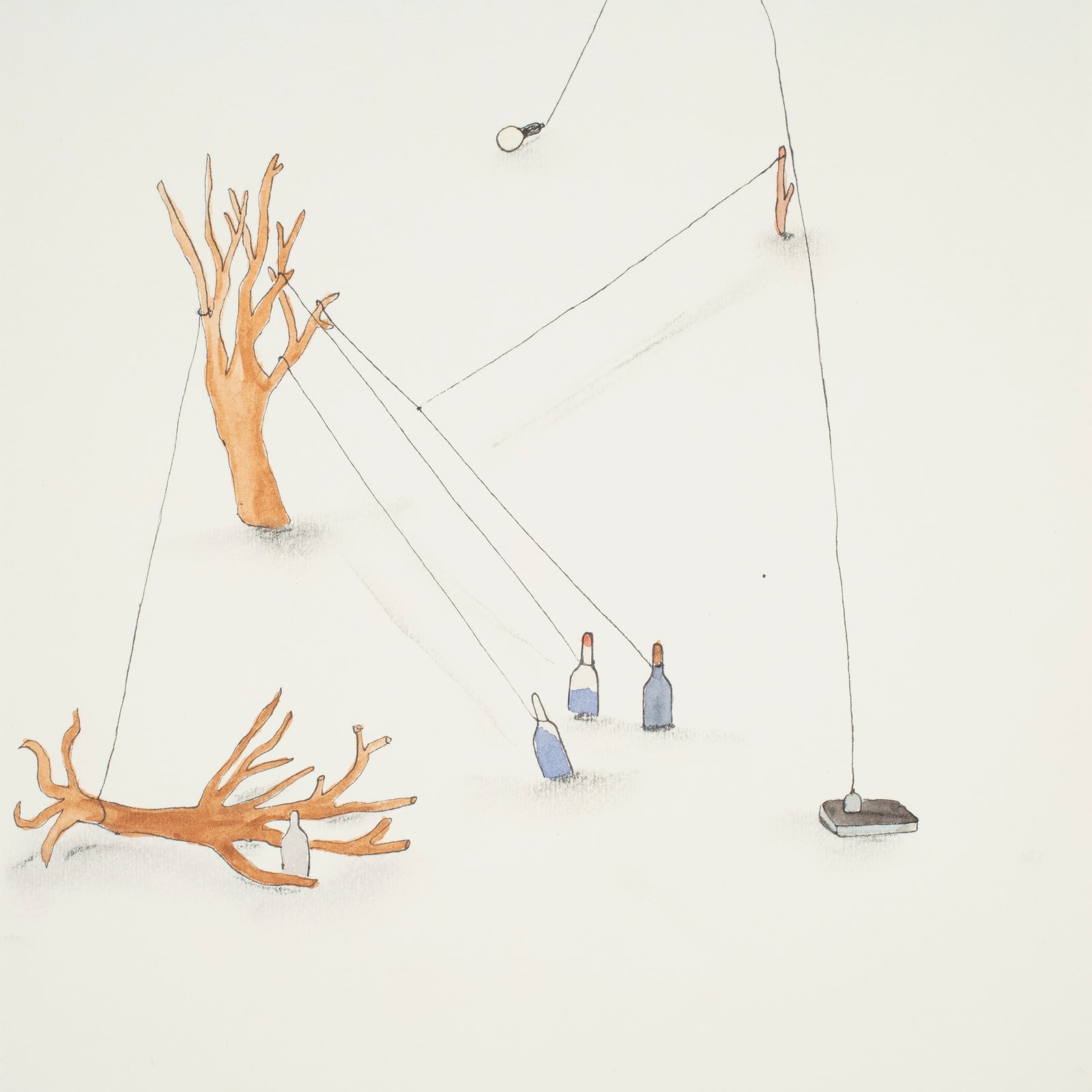 Federico Luger, Ecosystem 110, 2004