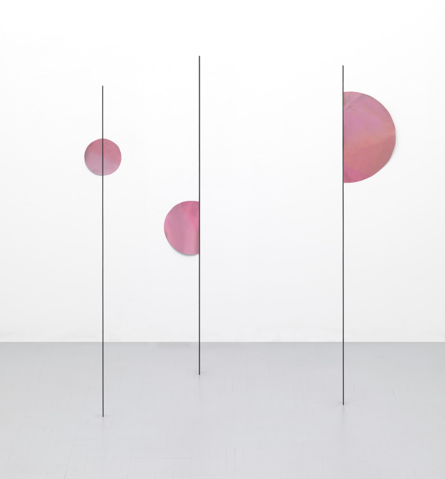 Igor Eskinja, Multiple Sunsets 2, 2025