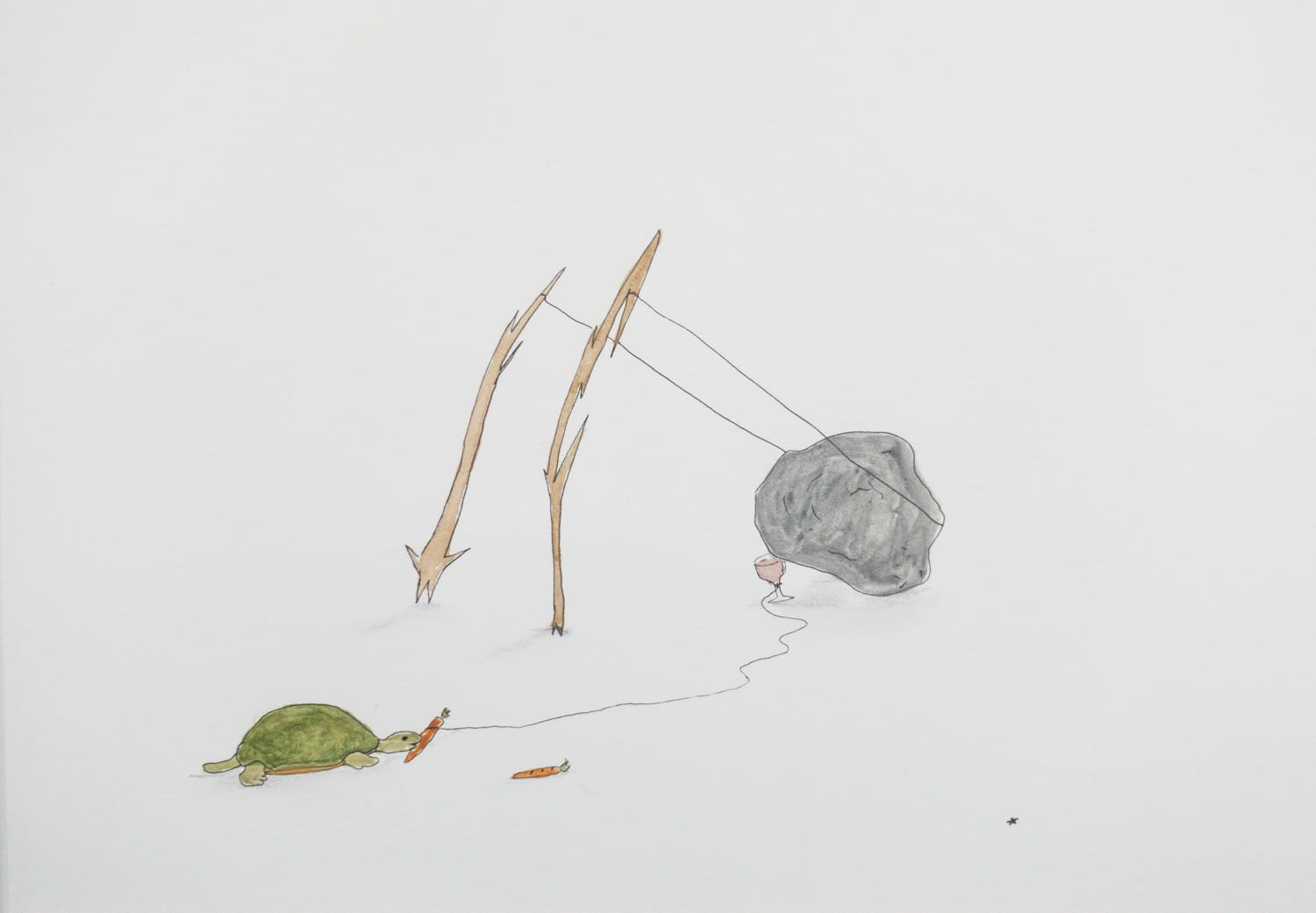 Federico Luger, Ecosystem: Turtle and wine, 2024