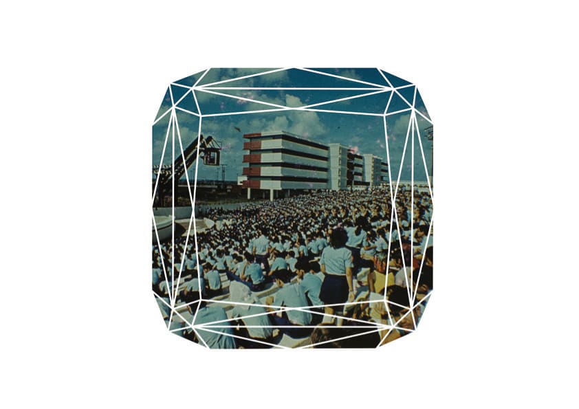 Diango Hernández, Diamonds and Stones My Education , 2008