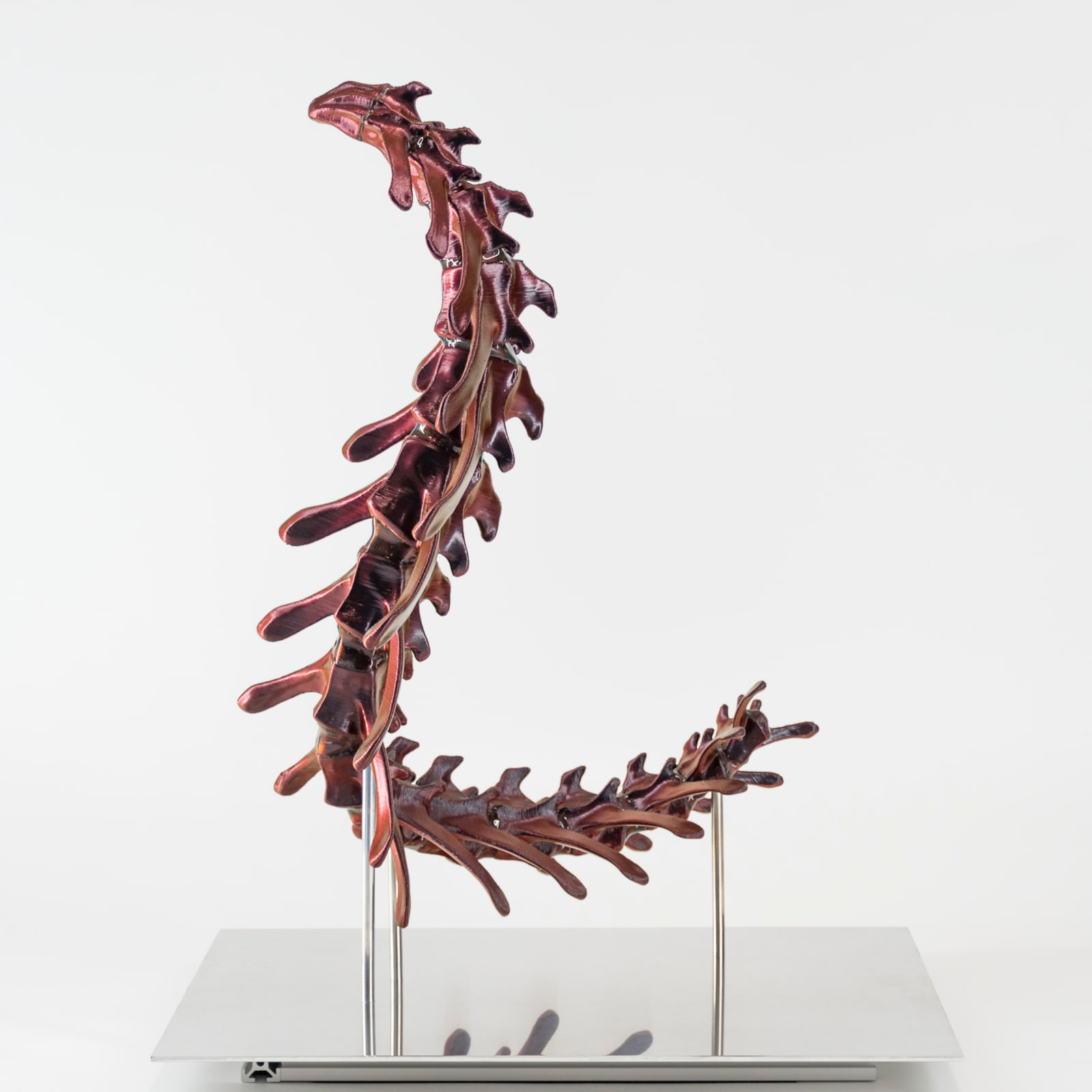 Andrea Samory, Chimera 3.3, 2024