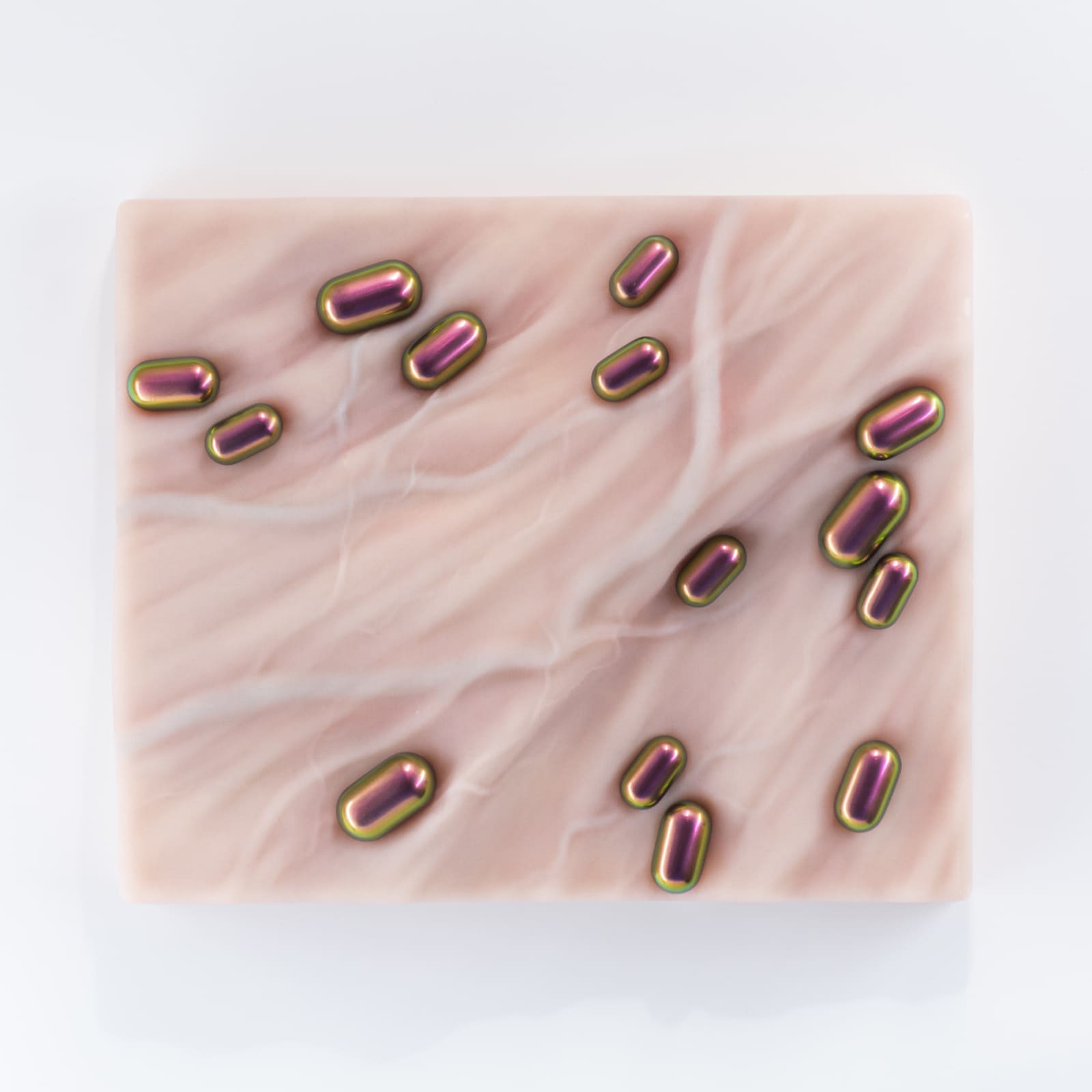 Andrea Samory, Infection 1.24 - Body Building, 2024