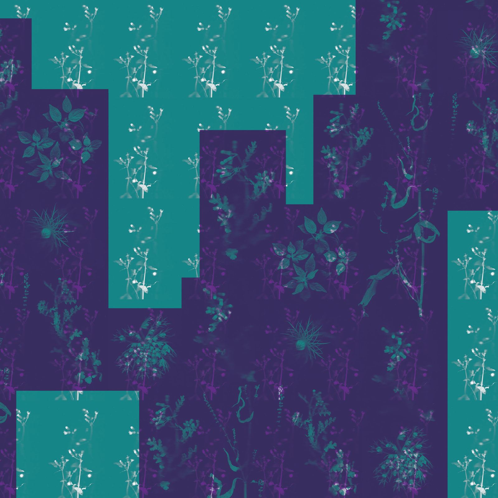 Igor Eskinja, Wallpaper 2, 2024