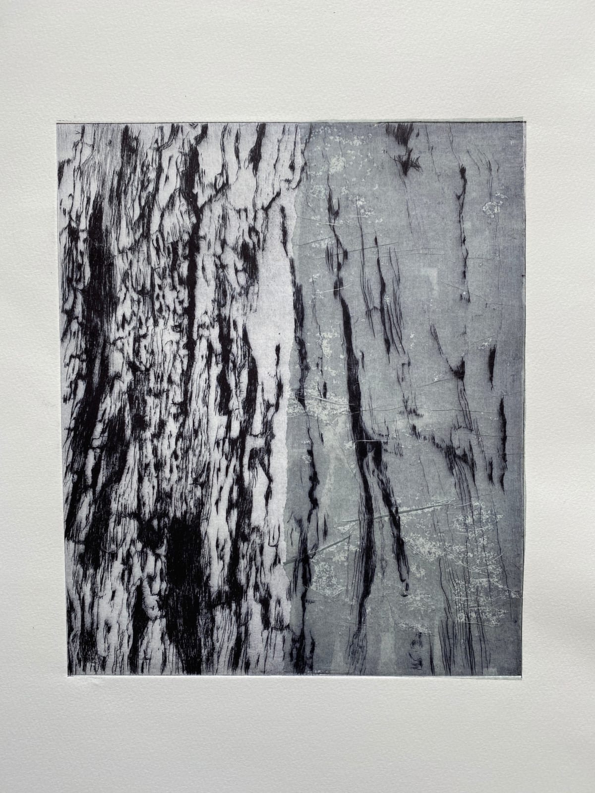 Alessandra Alexandroff, A death foretold - ash bark 2, 2021