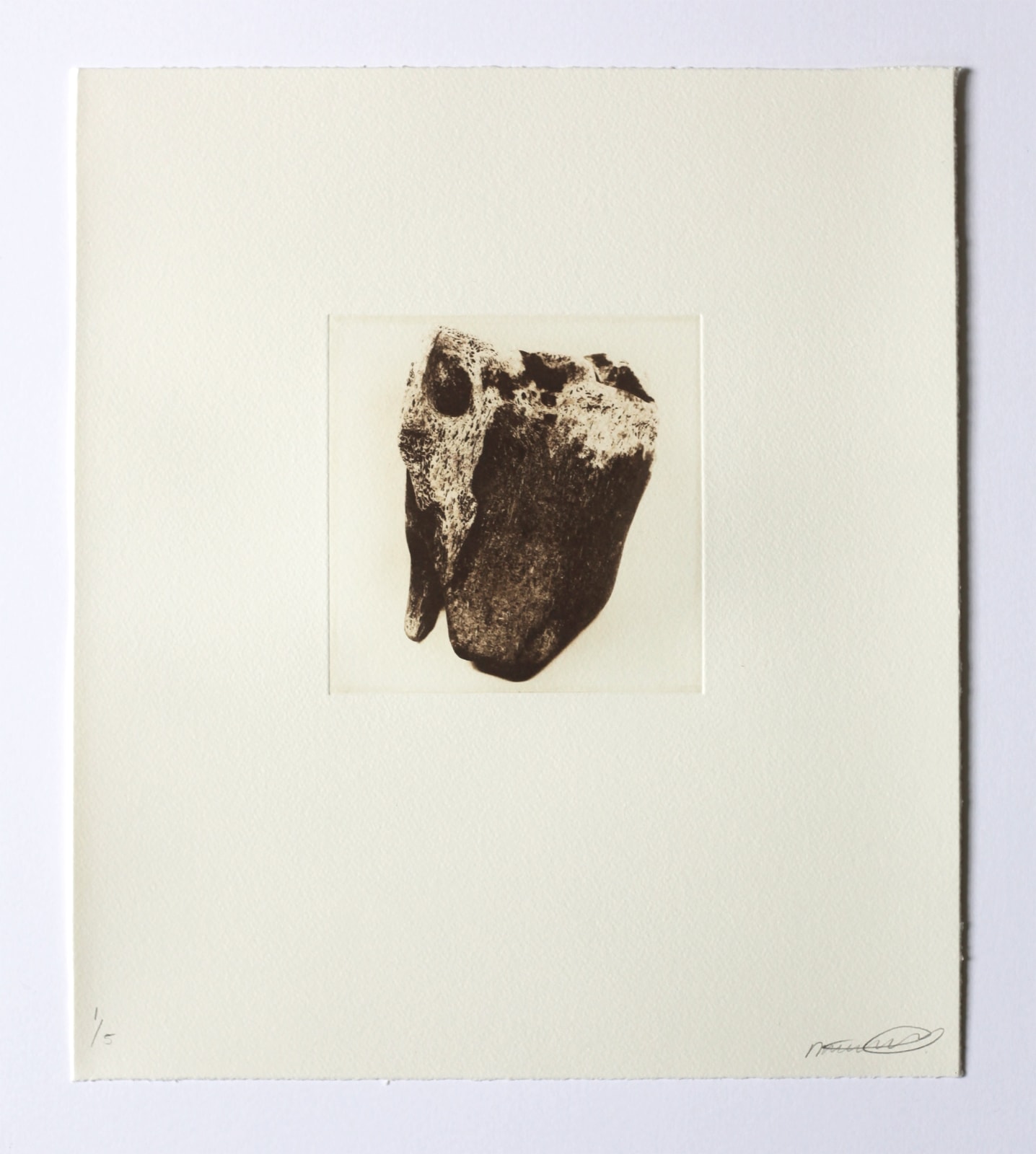 Amy-Leigh Bird, Heart, 2020
