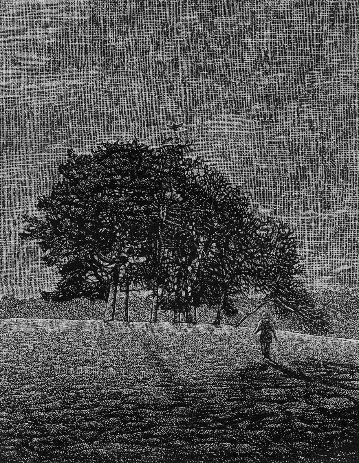 Raphael Appignanesi ARE, Middle Ground, 2020