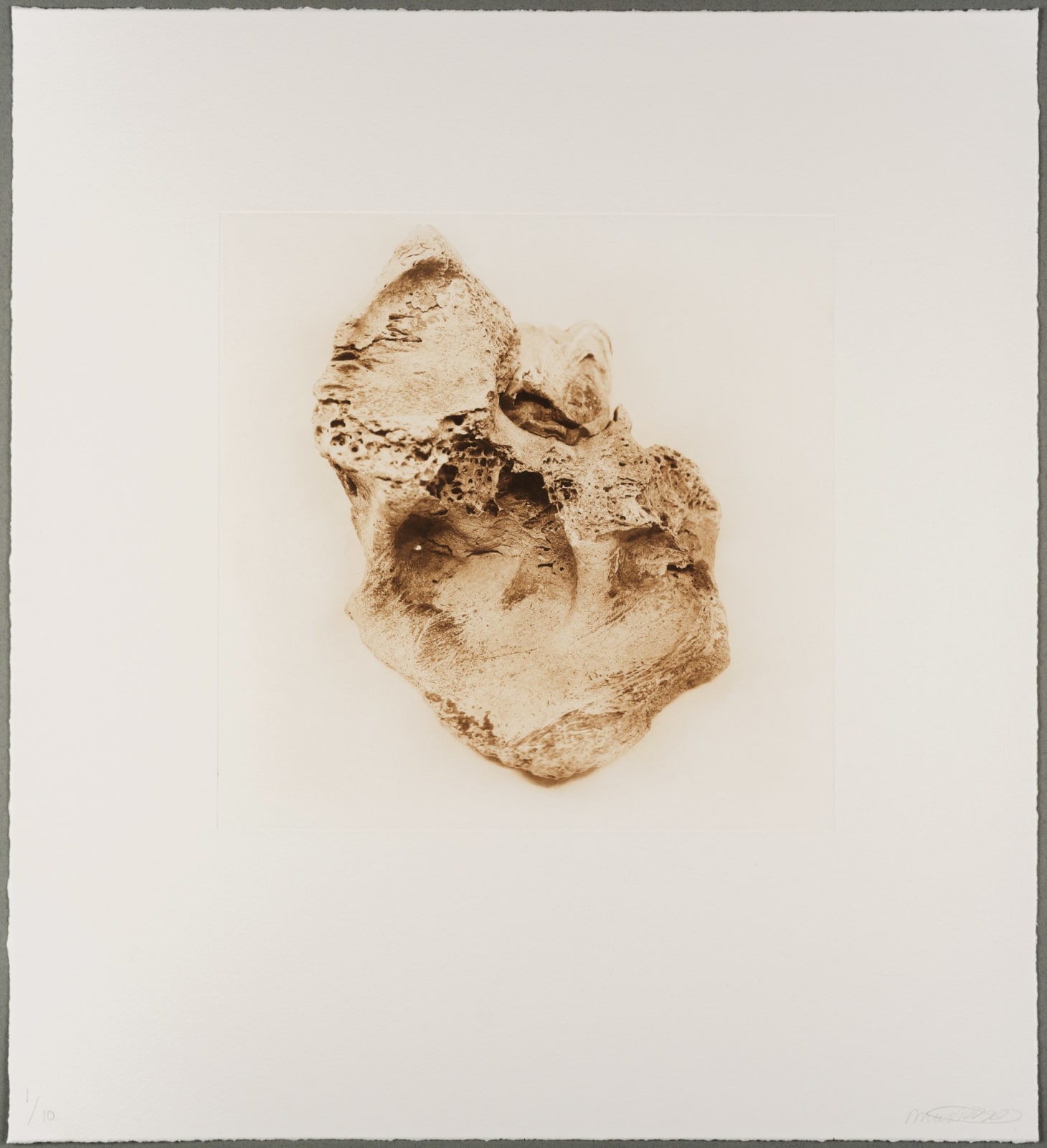 Amy-Leigh Bird, Small Amusement, 2020