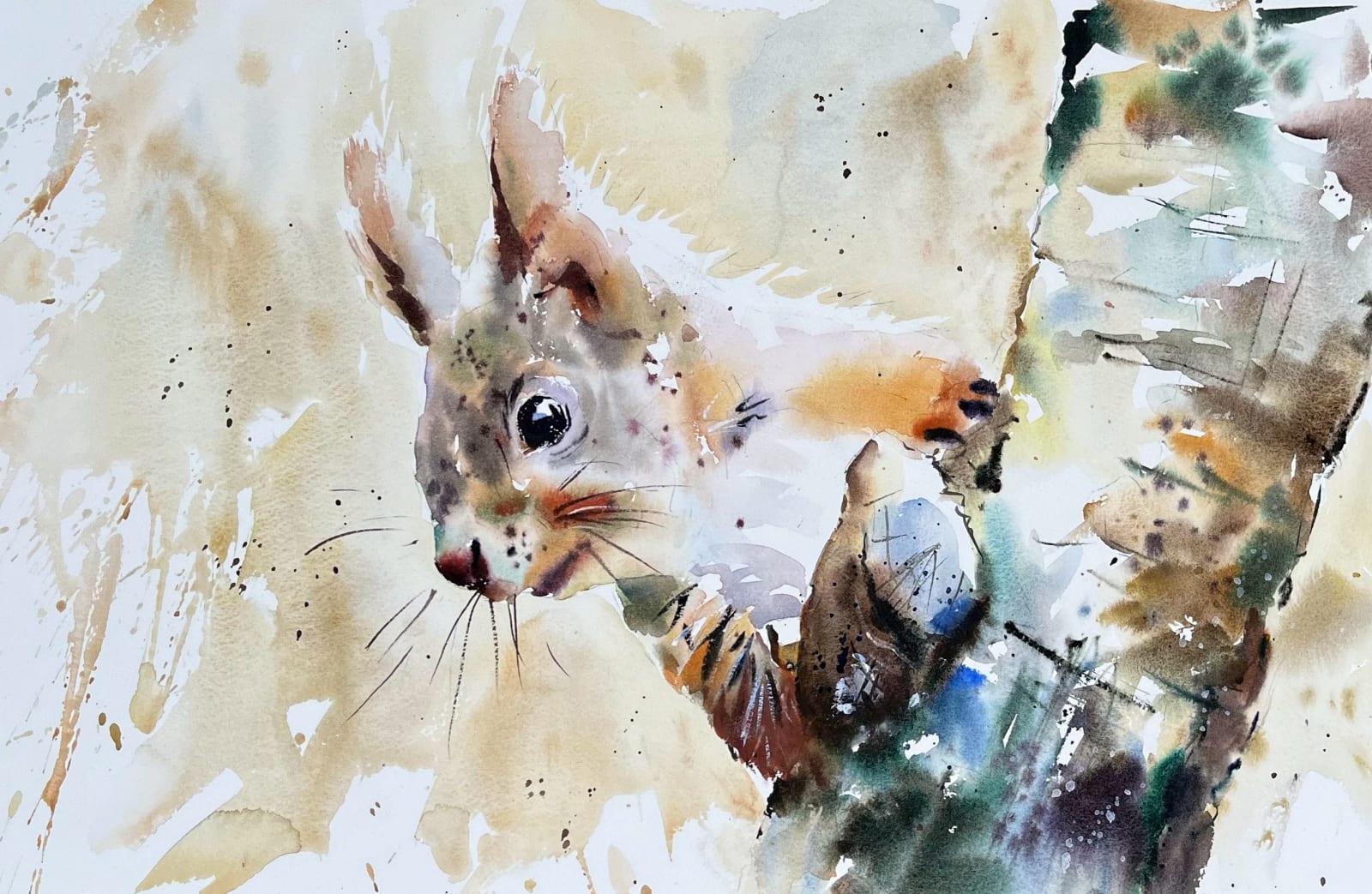 Jake Winkle, RED SQUIRREL