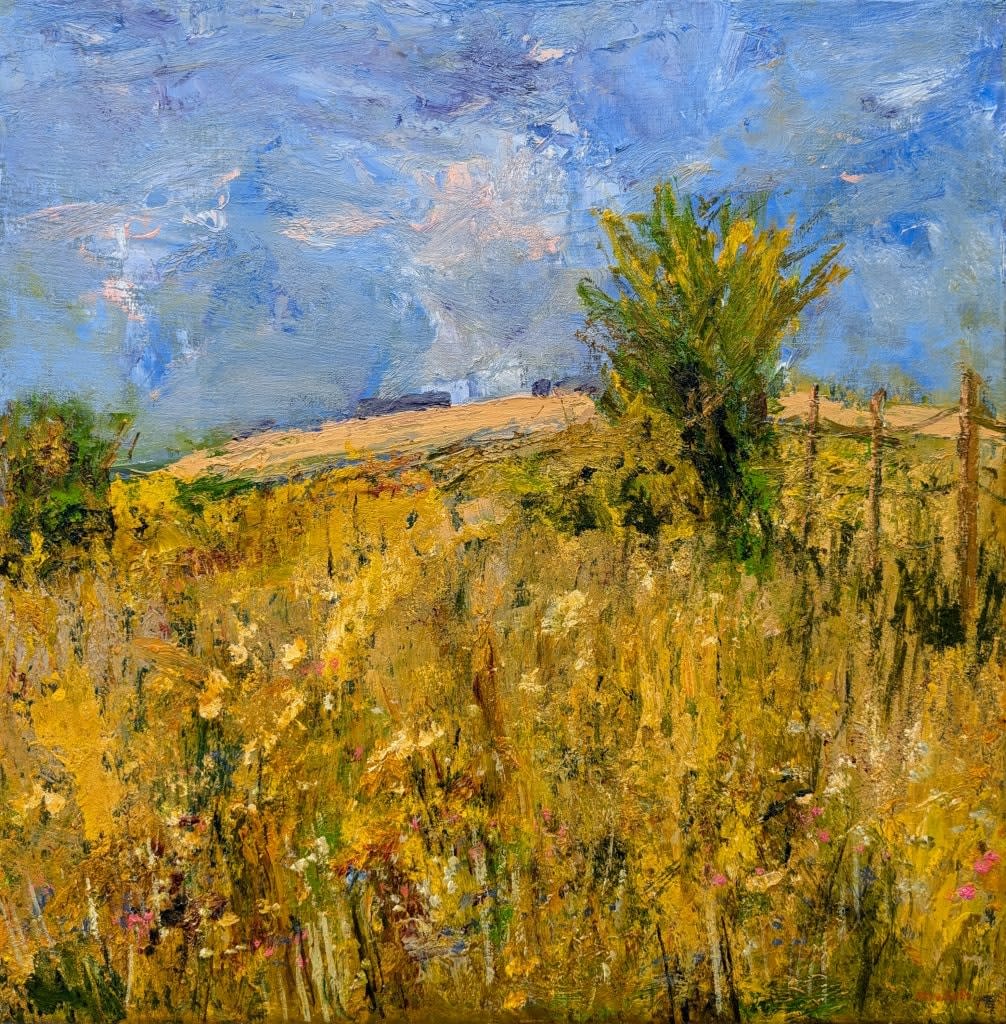 David Walsh, HIGH MEADOW FLOWERS