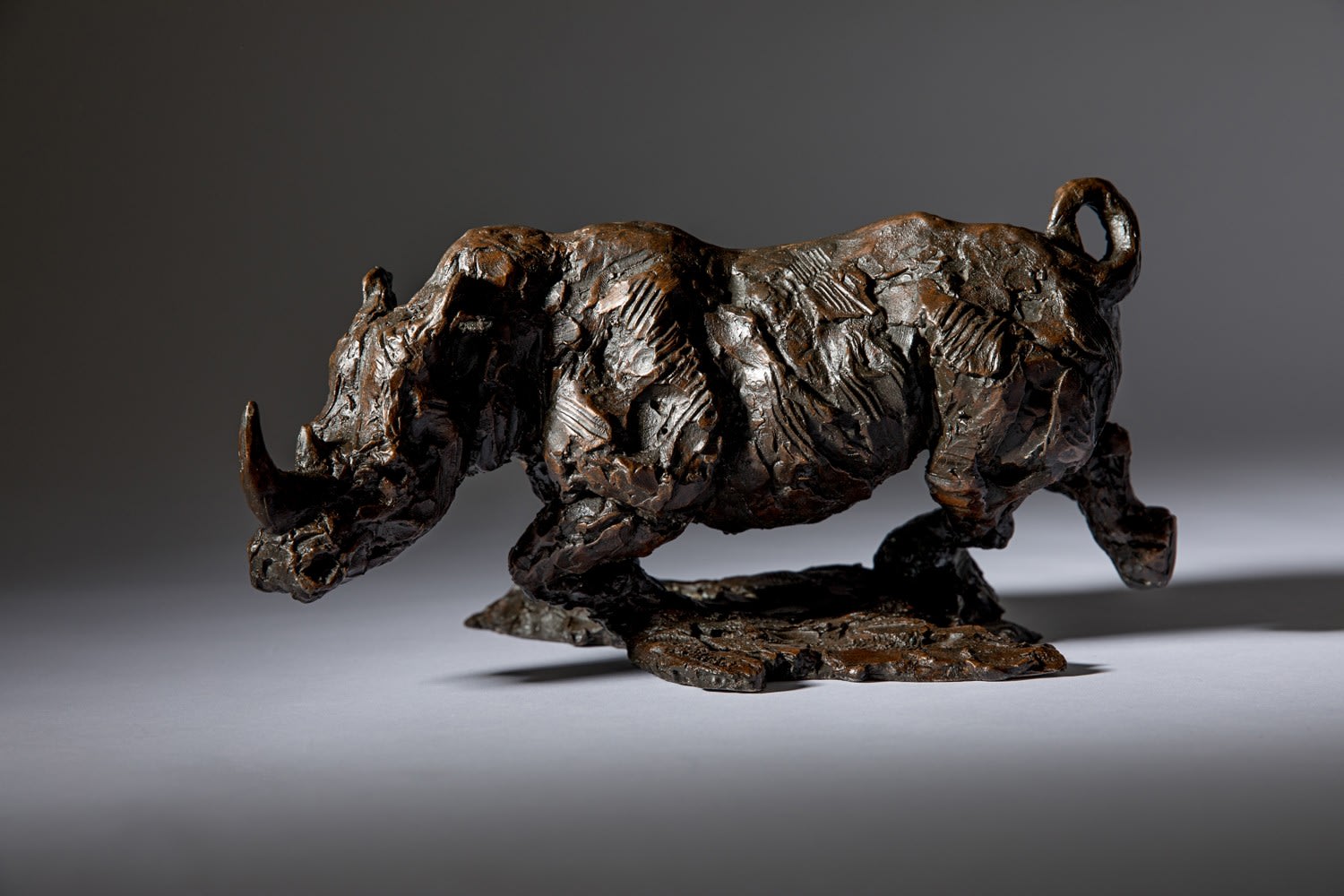 Jane Shaw, FREEDOM (Charging Rhino)