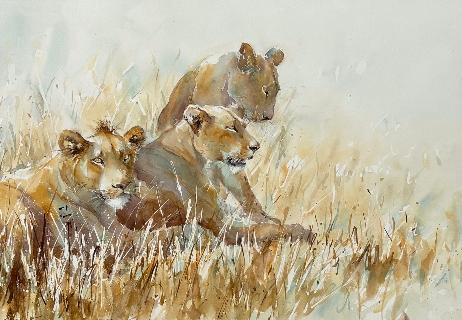 Julia Cassels, BIG CATS