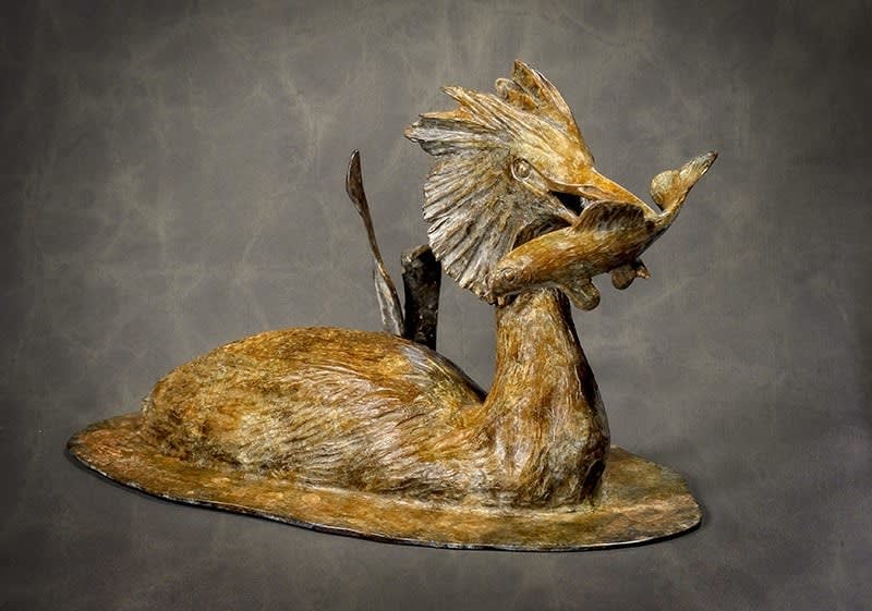 Michael Storey, GREEDY GREBE