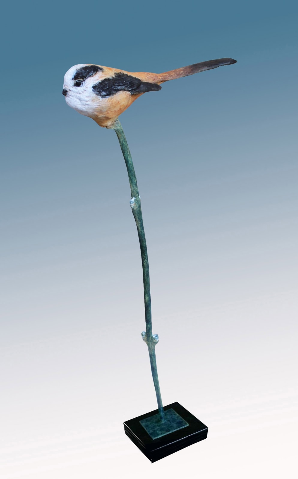 David Cemmick, LONG-TAILED TIT ON WILLOW