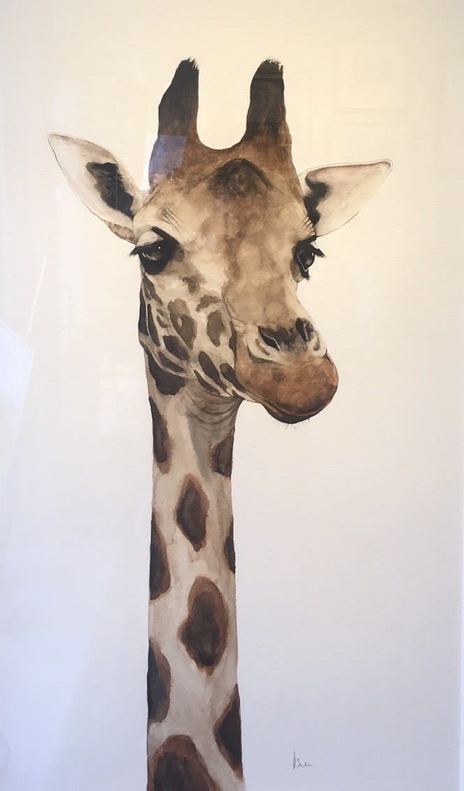 Dominique Salm, THIS SIDE?