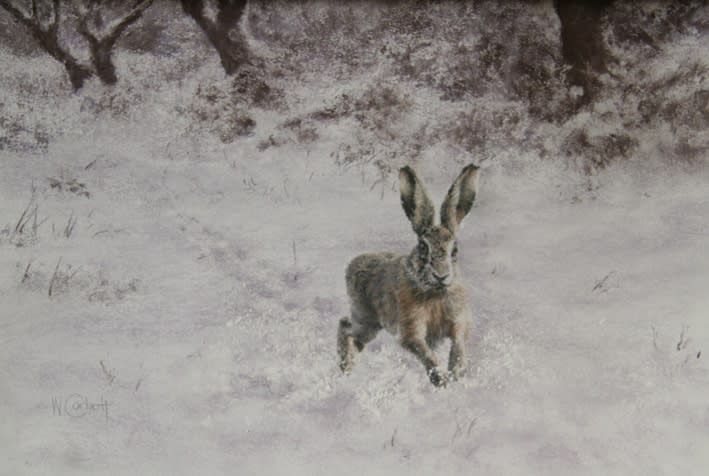 Wendy Corbett, THE UNEXPECTED