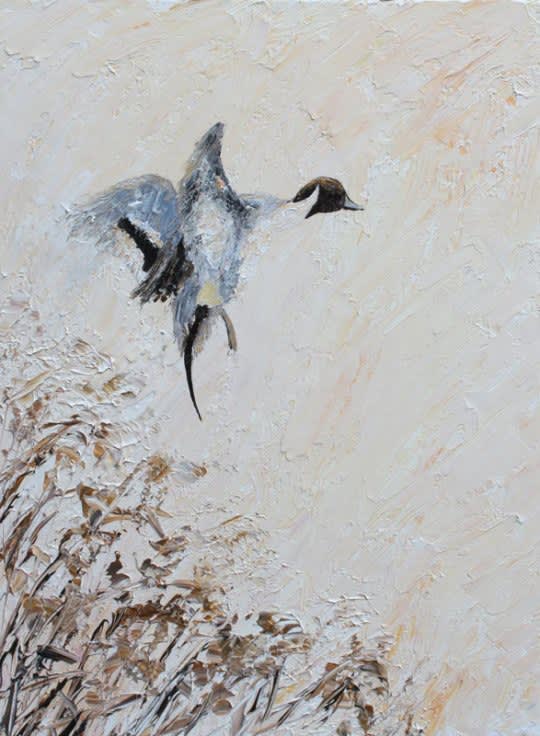 Ian Griffiths, PINTAIL FLIGHT