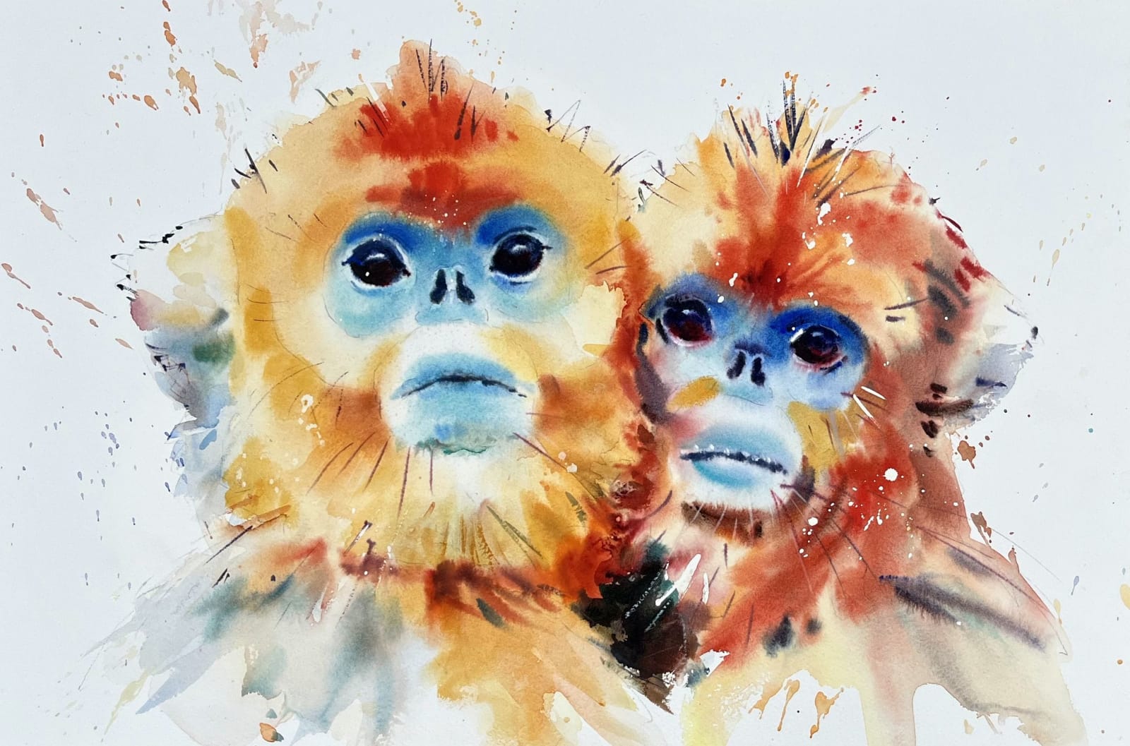 Jake Winkle, SNUB NOSED MONKEYS