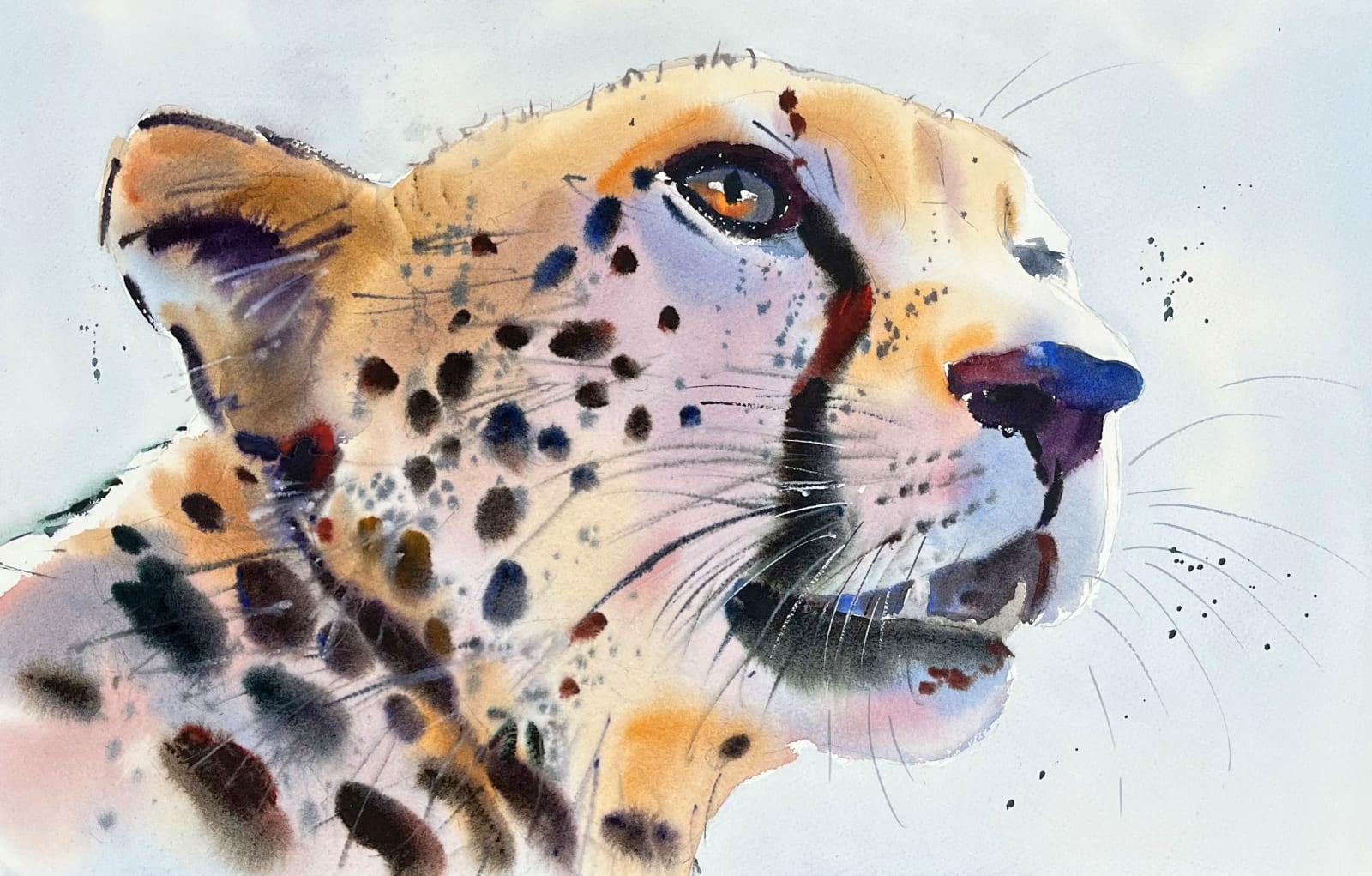 Jake Winkle, WATCHFUL CHEETAH