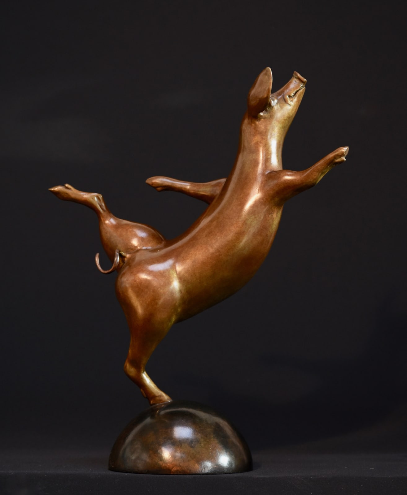 Bryn Parry, PIG EN POINTE