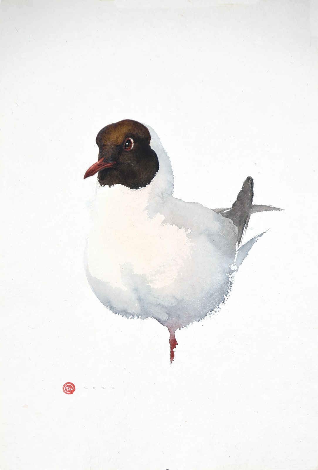 Karl Martens, BLACK-HEADED GULL (Unframed), 2022