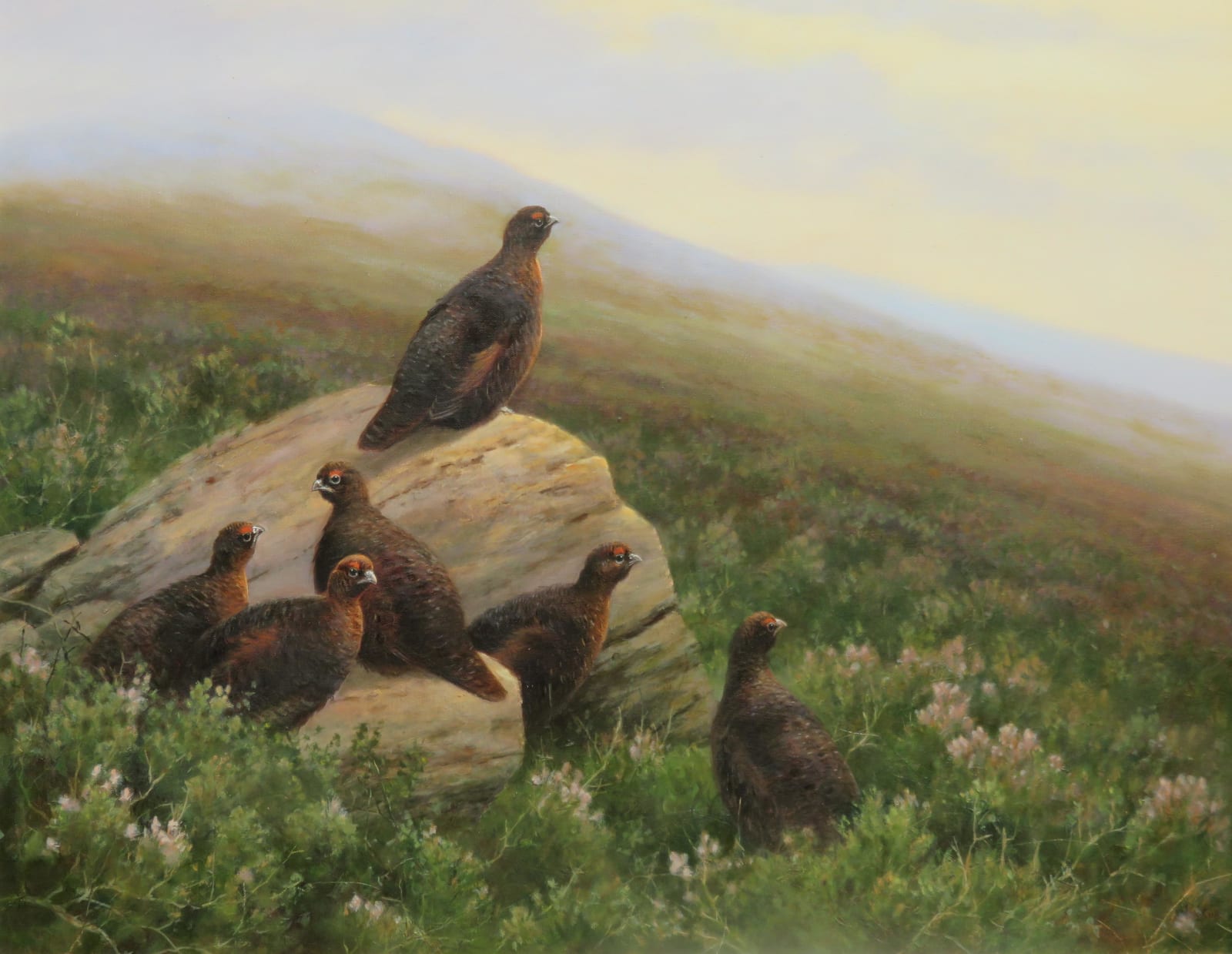 Neil Cox, EVENING ON THE TOPS - RED GROUSE